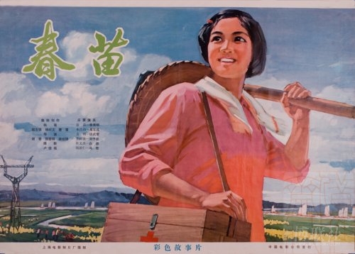 福建高中毕业证学号怎么查询